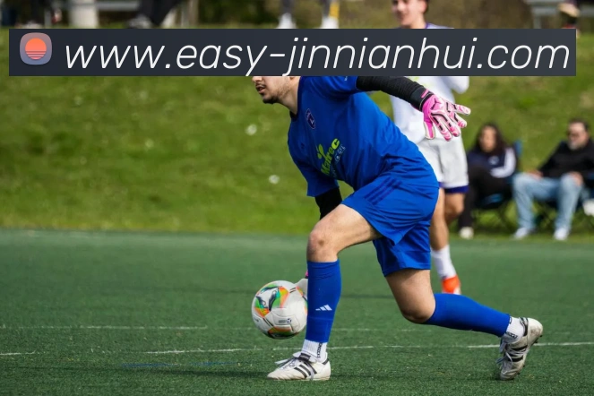 今年会官网平台生态图