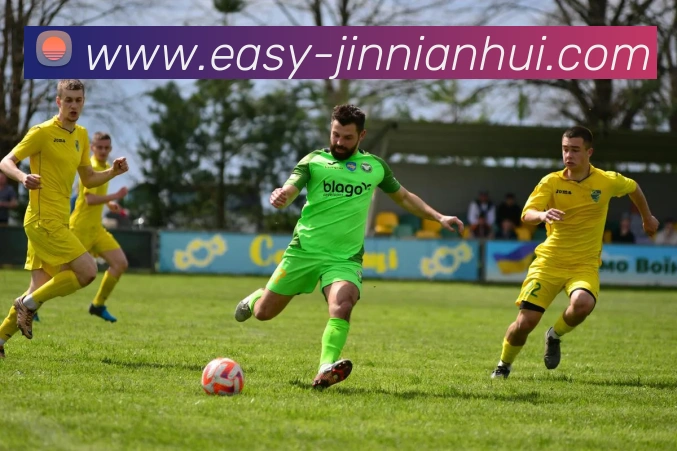 今年会官网全站App